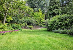 Optimiser l'expérience du jardin à Blanzay